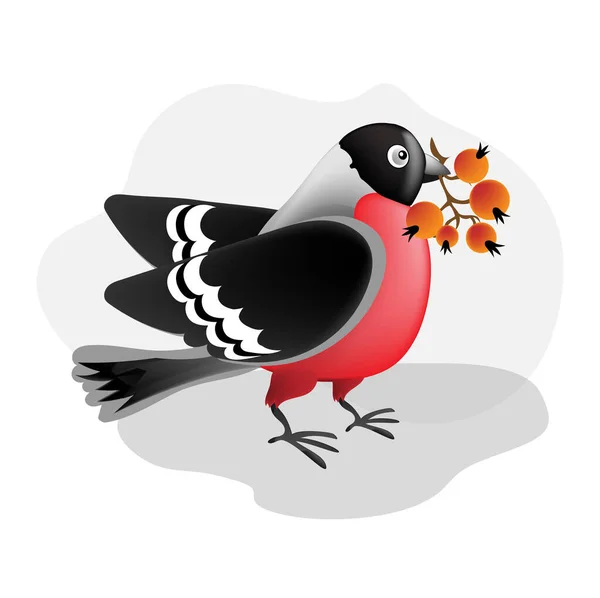 Pássaro Inverno Bullfinch Pyrrhula Pyrrhula Com Bagas Rowan — Vetor de Stock