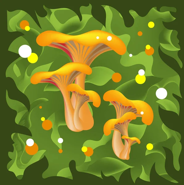 Chanterelle Mushrooms Hid Green Grass Frame Blades Grass — Vetor de Stock