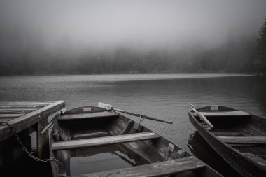 Arka planda sis ve yalnızlıkla bir gölün iskelesinde asalar.