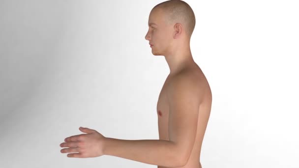 腰痛と子宮頸部の3Dアニメーション 男性の骨格の一部を示す現実的なスタイル トリミングされた画像白の背景 — ストック動画