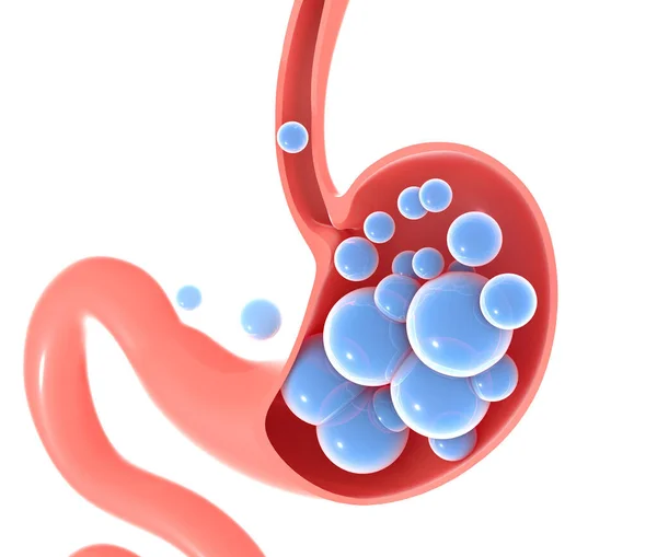 Иллюстрация Человеческого Желудка Газами Графическое Представление Полых Внутренних Участков — стоковое фото
