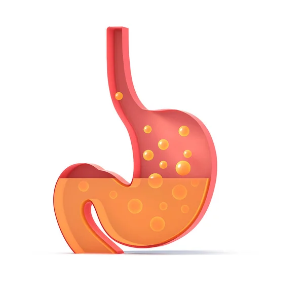 Ilustración Del Estómago Mostrando Interior Haciendo Digestión Con Gases Representación —  Fotos de Stock