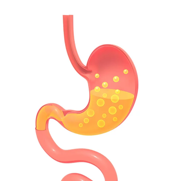 Ilustración Del Estómago Mostrando Interior Haciendo Digestión Con Gases Representación —  Fotos de Stock