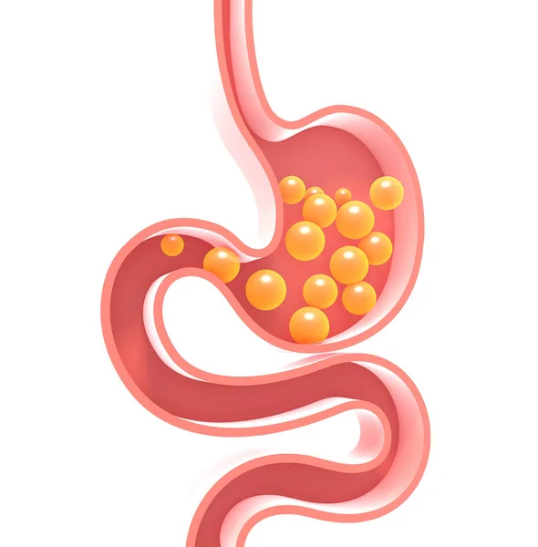 Ilustración Del Interior Esquemático Del Estómago Humano Con Gases Figura —  Fotos de Stock