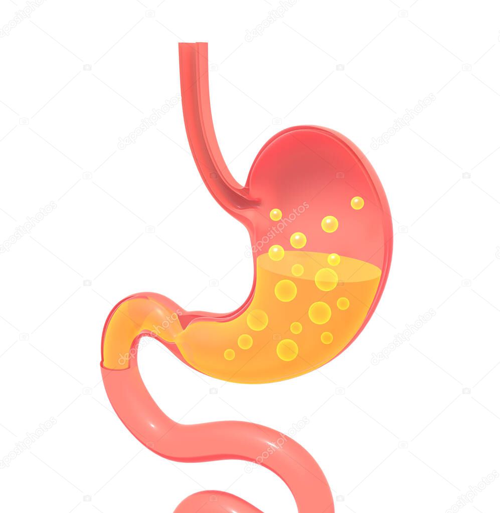 3D illustration of the stomach showing the interior doing the digestion with gases. Flat representation with empty volume, isolated silhouette resting on the ground with shadow.