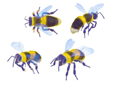 Gerçekçi stil arı 3 boyutlu illüstrasyon. Çeşitli açılardan bakıldığında, beyaz arkaplanda kesilir.