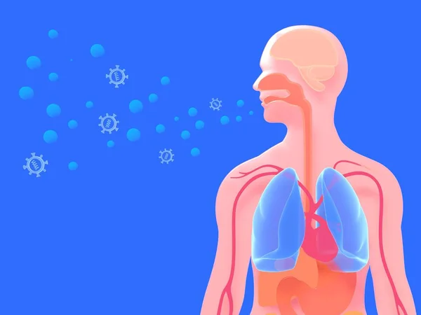 Ilustrace Dýchacího Ústrojí Dalších Anatomických Vnitřních Orgánů Lidské Siluetě Viry — Stock fotografie