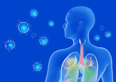 Arkadan görülen şeffaf insan vücudunun iç kısmının anatomik 3d çizimi. Ciğerleri işaretliyorum. Nefes alabilen tehditkar virüslerle.