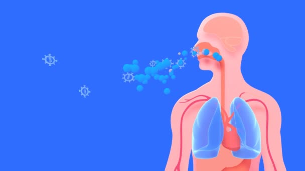 Animación Respiración Humana Con Los Virus Que Entran Salen Aumentó — Vídeo de stock