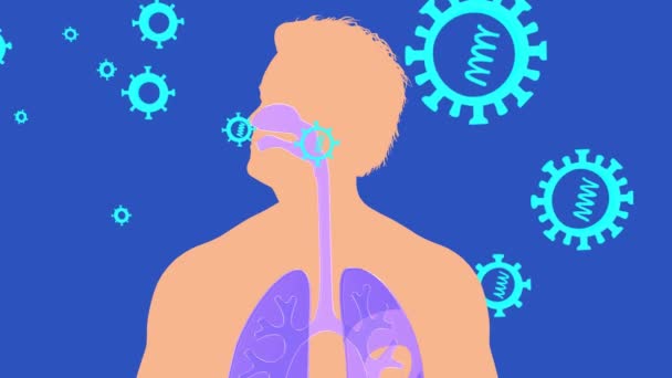 Animation Interior Human Antomy Lungs Rest Respiratory System Showing Effect — Stock Video