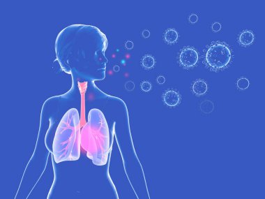 3d illustration of human respiratory system and viruses and bacteria that can enter or leave it with cough and sneeze. Transparent image on dark blue background.