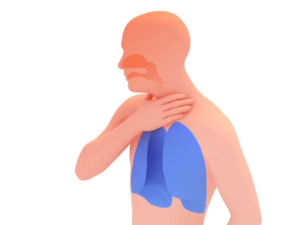 3d illustration of human silhouette with sore throat. Showing the lungs and ENT, with natural colors.