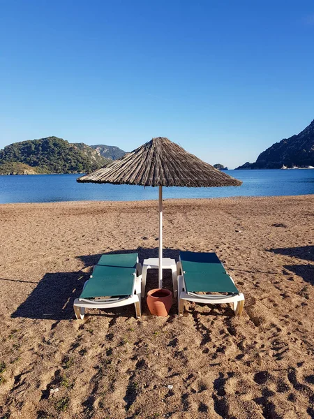 Beach Chairs Umbrella Empty Sun Loungers Umbrella Sandy Beach Next — Stockfoto