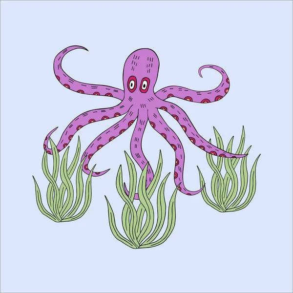 Dokunaçları ve yosunları olan ahtapot. El çizimi vektör çizimi beyaz arkaplanda izole edildi. 