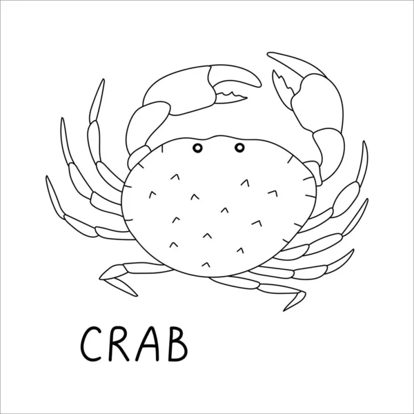 Illustration Vectorielle Gribouillis Crabe Fruits Mer Illustration Simple Noir Blanc — Image vectorielle