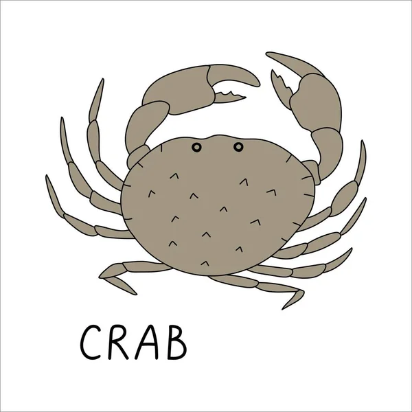 Illustration Vectorielle Gribouillis Crabe Frais Fruits Mer Illustration Simple — Image vectorielle