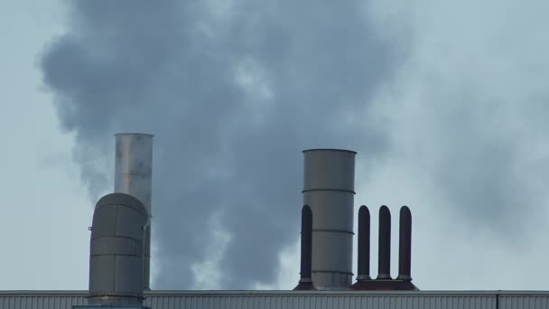 Varias Chimeneas Contaminación Fábrica Humo Tóxico Dióxido Carbono Co2 Calentamiento — Vídeo de stock