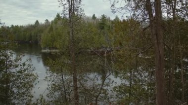 Doğu Angus, Quebec, Kanada 'da nehir ve orman panoramik doğa manzarası