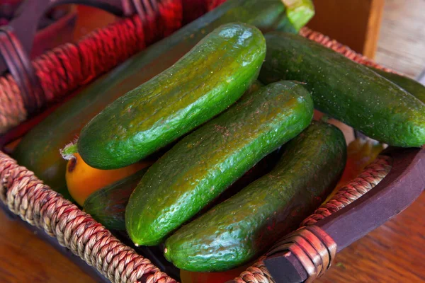 Organic Cucumbers Market Healthy Eating Fresh Vegetables Agriculture — 图库照片