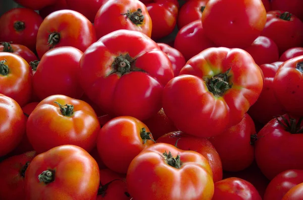 red tomatoes background organic food vegetarian meal fresh fruits agriculture market
