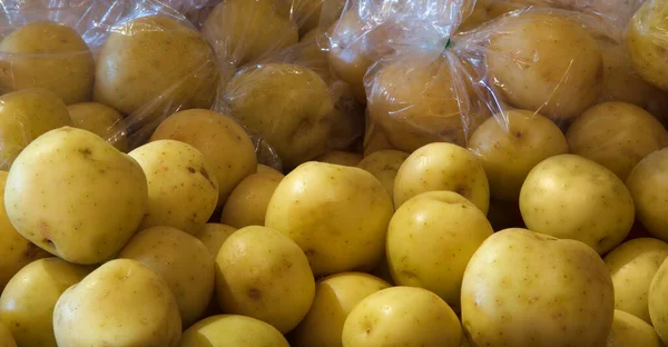 Batatas Brancas Categoria Tamanho Pequeno Mercado Agrícola Agricultura Biológica Legumes — Fotografia de Stock