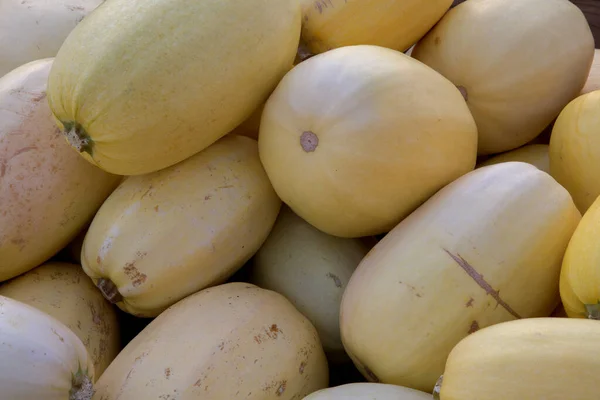 Inverno Abóbora Heap Espaguete Variação Ação Graças Mercado Orgânico Alimentos — Fotografia de Stock