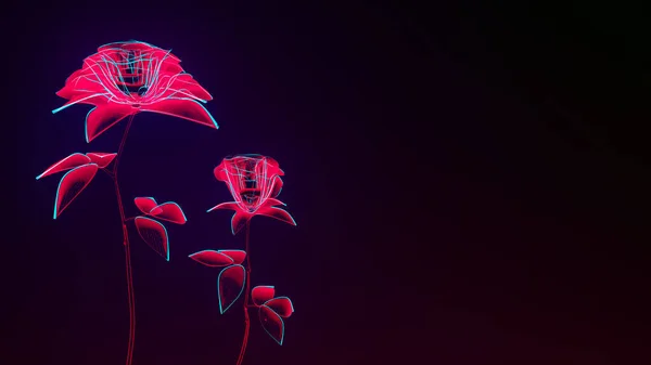 Vörös Virágok Izzó Rajz Rózsák Fekete Másolás Tér Háttér Szerelem — Stock Fotó