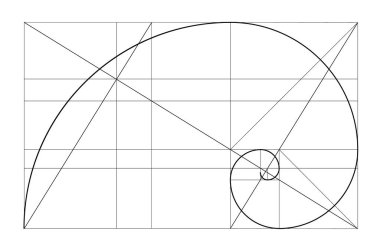 Vektör altın ilişki şablonu. Altın spiral, altın oran, Fibonacci dizisi, Fibonacci sayısı. İlahi Oranlar.