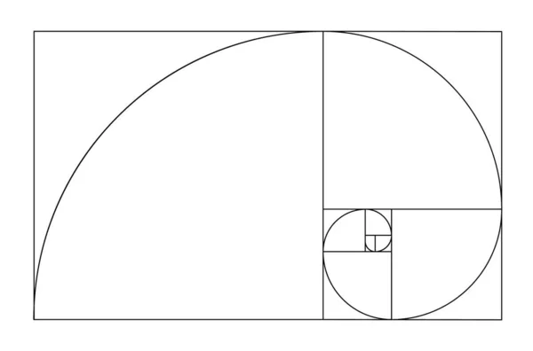 Modelo de relacionamento de ouro vetorial. Espiral dourada, proporção dourada, matriz de Fibonacci, número de Fibonacci. Proporções divinas. —  Vetores de Stock