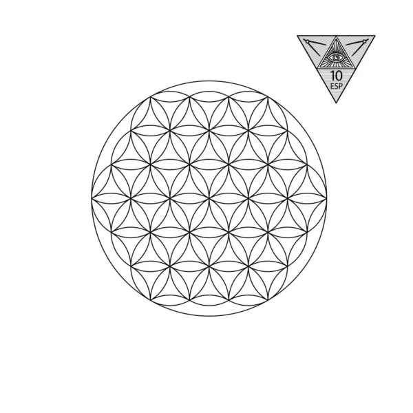 Sacred Geometry Vector Illustration Isolated White Sacred Geometry Black Lines — Stock Vector