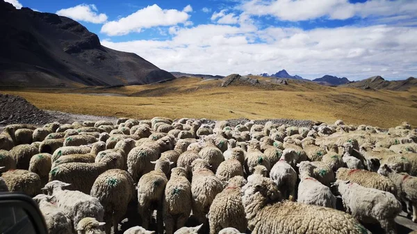 PAISAJE DE LA SIERRA PERUANA