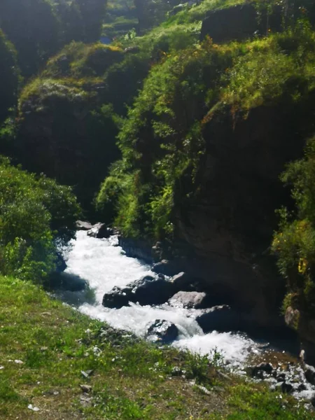 Paisaje Selva Peruana — Stock Photo, Image