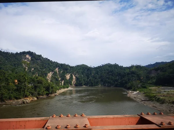 PAISAJE DE LA SELVA PERUANA