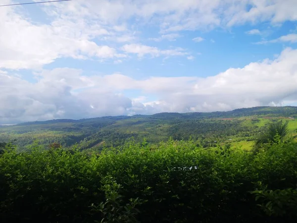 PAISAJE DE LA SELVA PERUANA