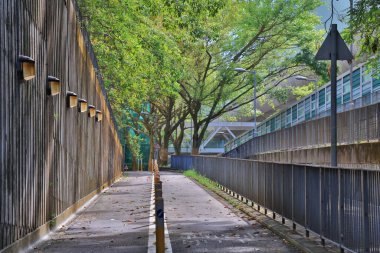 Wu Kai Sha 'da bisiklet izleri, Hong Kong, 22 Eylül 2021 