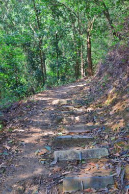 Razor Hill 'deki patika ve yeşillik, Hong Kong, 17 Ekim 2021 