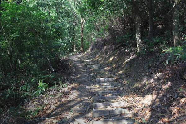Ścieżka Zieleń Razor Hill Hongkong Paź 2021 — Zdjęcie stockowe