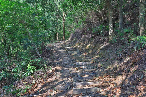 Ścieżka Zieleń Razor Hill Hongkong Paź 2021 — Zdjęcie stockowe