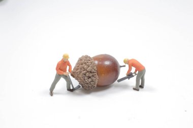 Mini işçi cevizi açar.