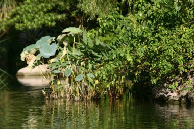18 Eylül 2004. Hong Kong Parkı 'ndaki su tesisi.