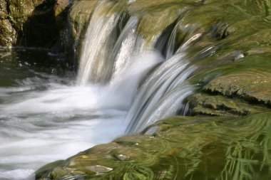 Hong Kong parkındaki küçük nehir.