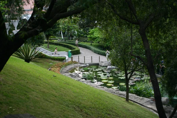 Krajobraz Hong Kong Park Centralny — Zdjęcie stockowe