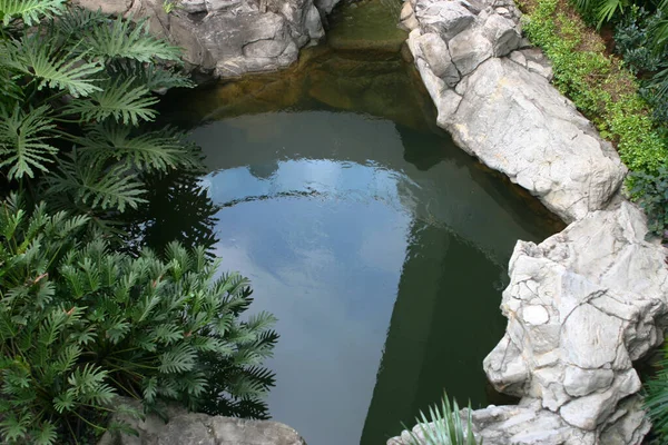 Sept 2004 Planta Agua Parque Hong Kong — Foto de Stock