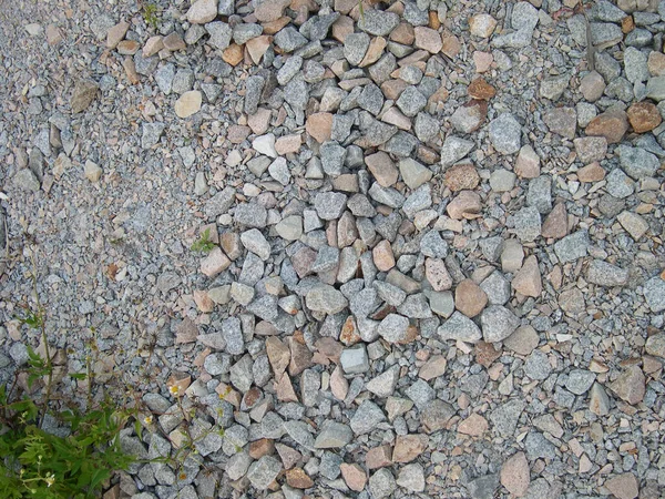 Stenen Achtergrond Een Droge Rivierbedding Tegen Achtergrond Van Herfst — Stockfoto