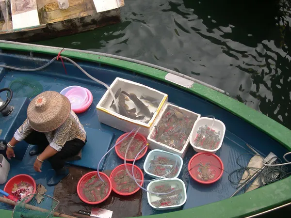 Juni 2004 Hongkong Sai Kung Neue Öffentliche Pier Fischerboote — Stockfoto