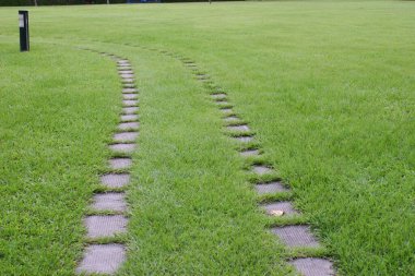 Şafakta yeşil şehir parkının güzel manzarası