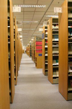 Kütüphanedeki Rafta Ayarlanmış Kitaplar