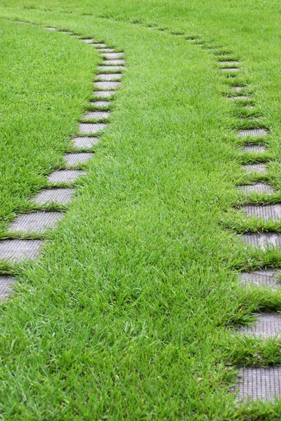 Vacker Utsikt Över Grön Stadspark Gryningen — Stockfoto