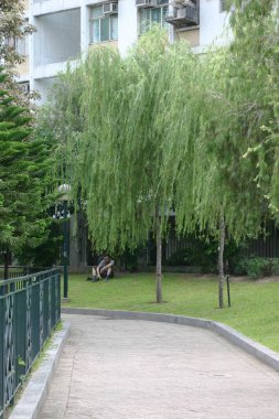 8 Temmuz 2004 Tung Chau Sokak Parkı, Hong Kong