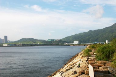 Tseung Kwan O Endüstriyel Malikanesi 'ndeki Dolos sahili.